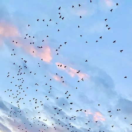 Lodos Suites & Rezidans *